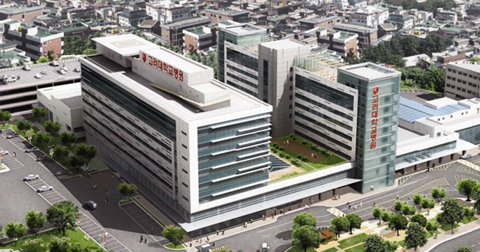 巨大なGuro hospital