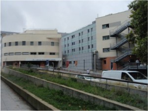Arai1-1