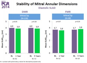 図2 EVEREST trial 5年の成績(DMRとFMRにおける弁輪径の比較)