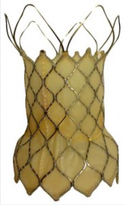 Venus P-Valve