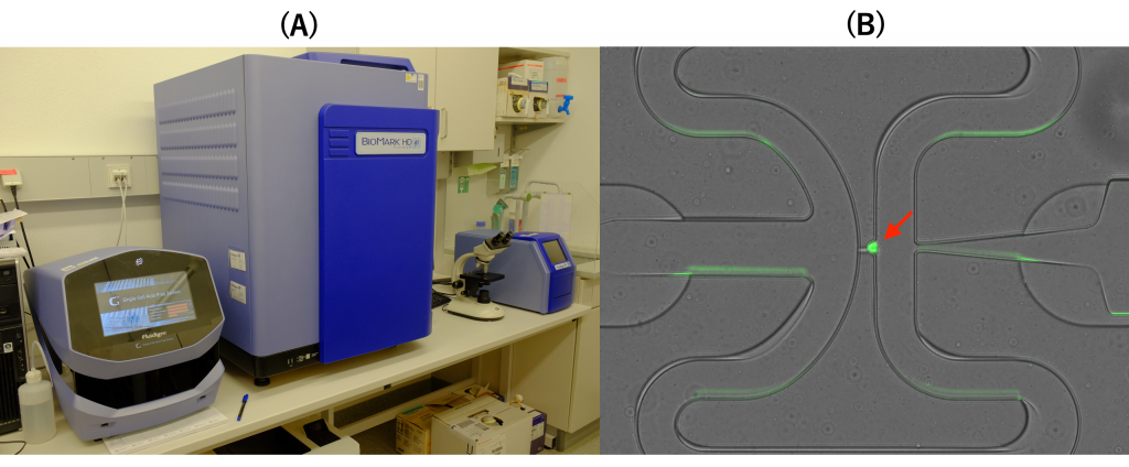 スクリーンショット 2019-01-01 2.37.44