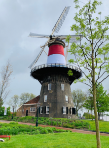 Pic3 Windmil