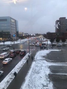 11月半ばの様子ですが、すっかり寒々しい風景になりました。