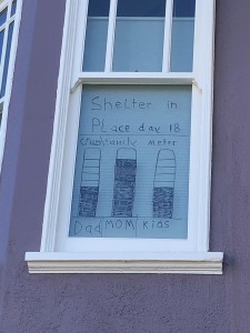 写真 3. 近所で見つけたCrazy meter